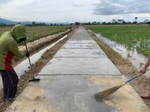 Pembangunan Rabat Beton Jalan Usaha Tani Tingkatkan Akses dan Aktivitas Pertanian Warga